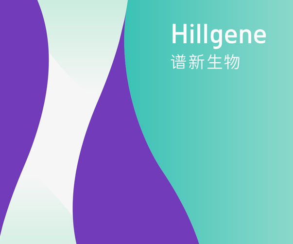 vi設計證卡設計詳解、方法、案例-達人指南